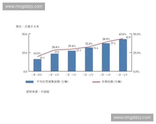 阵容调整策略：如何优化团队配置提升整体战力与协同效应