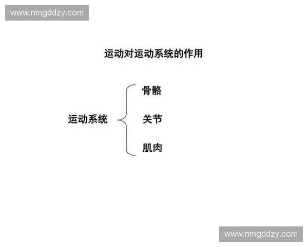 以训练负荷为核心的运动表现提升与科学监控综合研究路径探索
