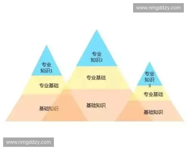 以技术习惯动作为核心重塑高效执行与持续成长路径的系统方法论