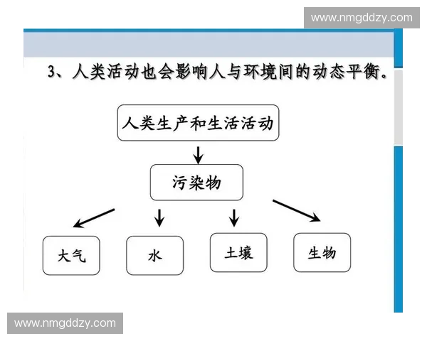 基于体育健康评估的全面健康管理模式探索与实践