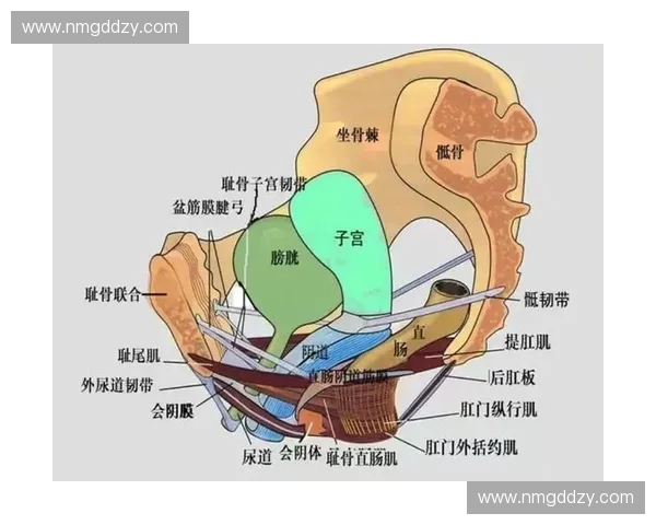 基于等张收缩原理的研究进展及其在材料科学中的应用探索